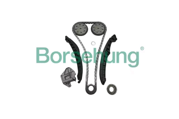 kit-de-chaine-de-distribution-borsehung-b16296